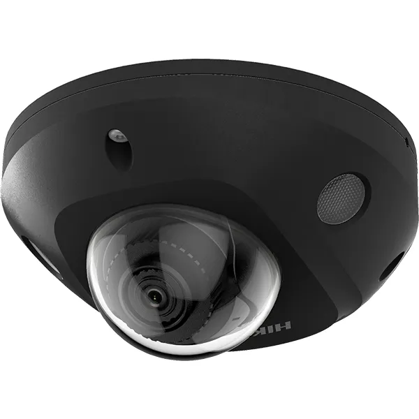 DS-2CD2543G2-LIS2U(2.8mm)/BLACK