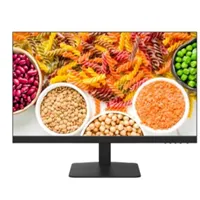 DS-D5024F2-1V2S