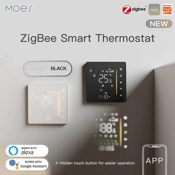 ZHT-006-GA-WH-MS
